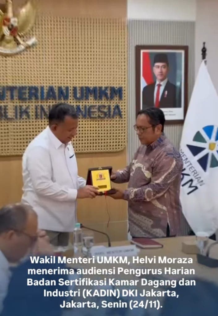Audiensi Wakil Menteri UMKM