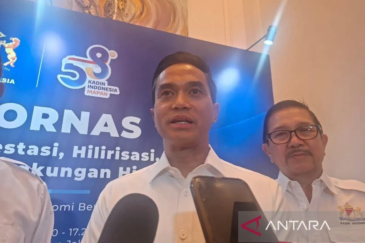 Kadin: RUU Kadin untuk tingkatkan kapasitas UMKM Indonesia