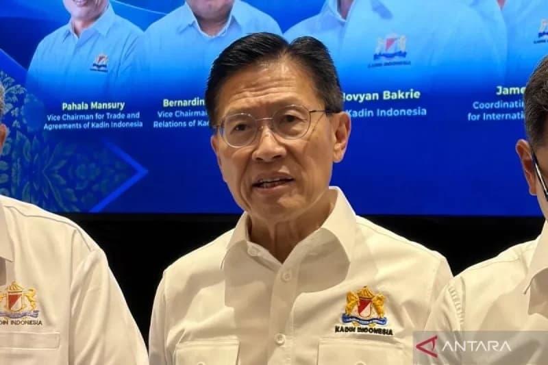 Kadin: Aksesi OECD Jadi Strategi Indonesia Keluar dari Middle Income Trap