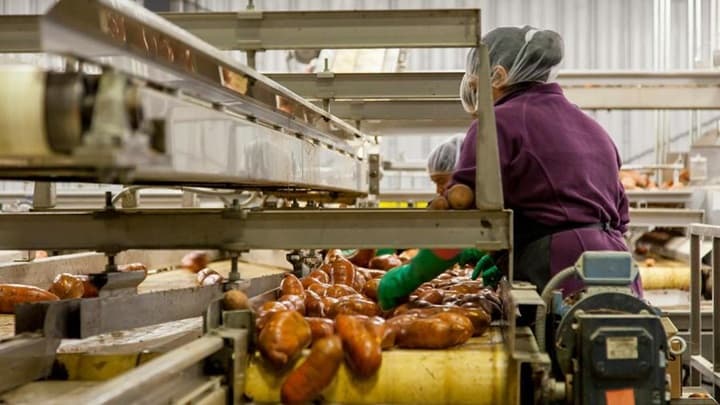 PMI Manufaktur RI Lompat Tembus Level 50, Kadin Ingatkan Masalah Ini